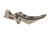 Spust Maxx Model Advanced Trigger Style B Tytanowy