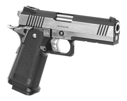 Replika Tokyo Marui Hi-Capa Dual Stainless GBB